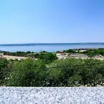 Zubak *